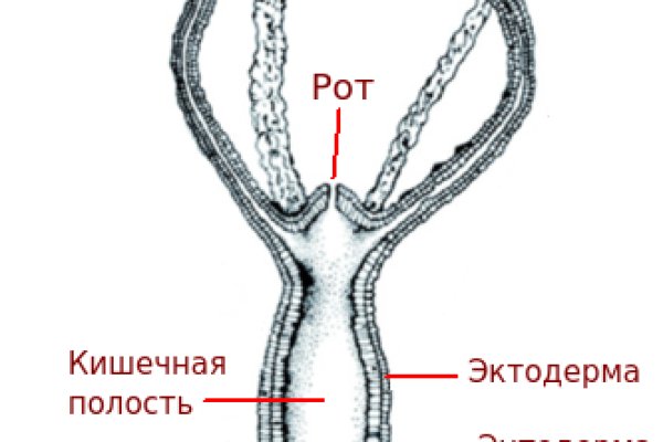 Блэк спрут тор 1blacksprut me