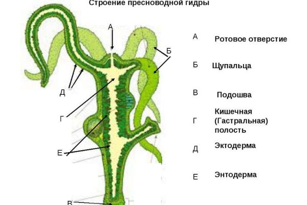 Блэк спрут bs2webs top